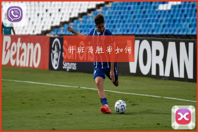 升班马胜率如何